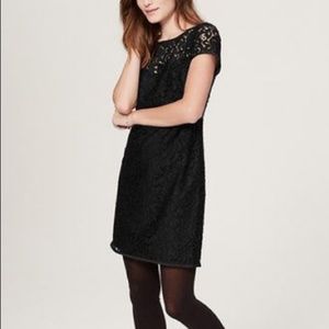LOFT | Navy & Black Lace Shift Dress